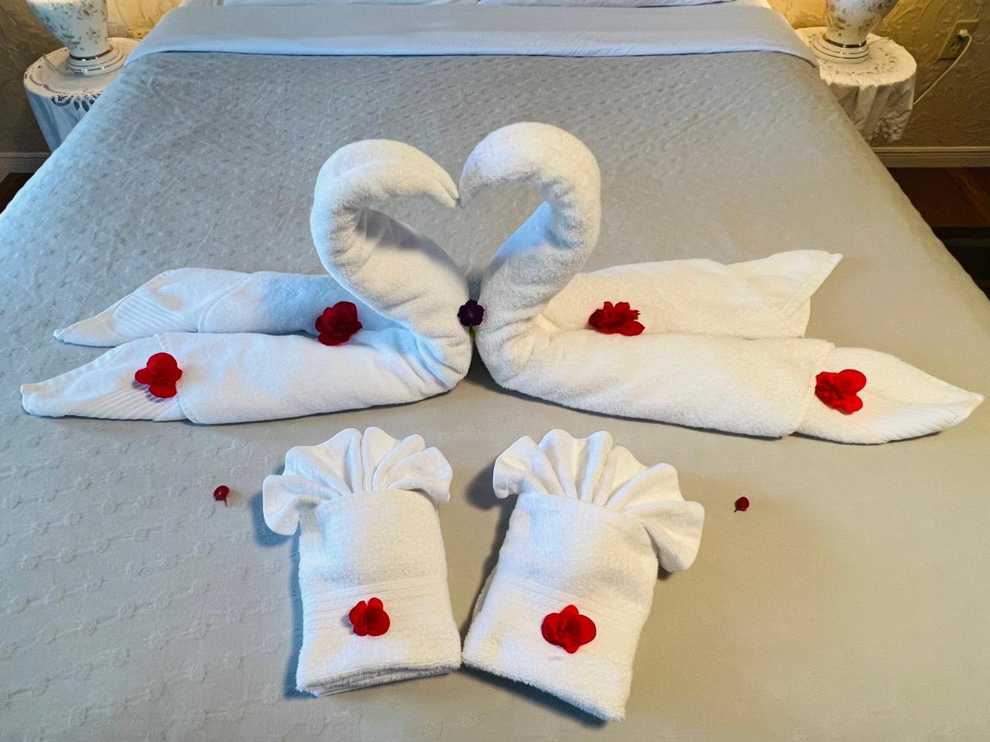 Lee'S Ocean Peek B & B Stratford エクステリア 写真